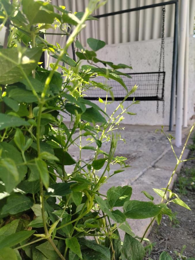 Marija Apartman Osijek Luaran gambar